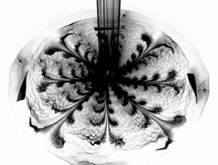 Imaginatory fractal abstract background Imageの写真素材