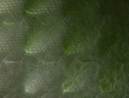 Imaginatory fractal abstract background Image