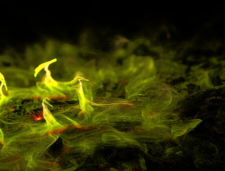 Imaginatory fractal abstract background Imageの写真素材