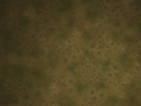 Imaginatory fractal abstract background Image