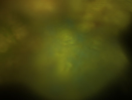 Imaginatory fractal abstract background Imageの写真素材