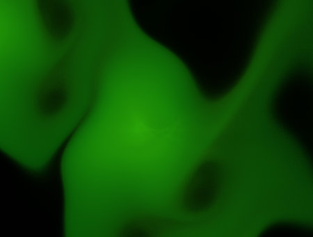 Imaginatory fractal abstract background Imageの写真素材