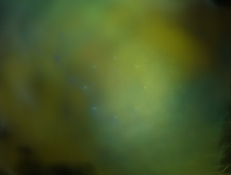 Imaginatory fractal abstract background Imageの写真素材