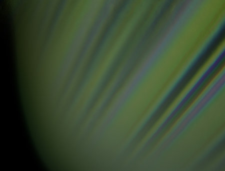 Imaginatory fractal abstract background Image