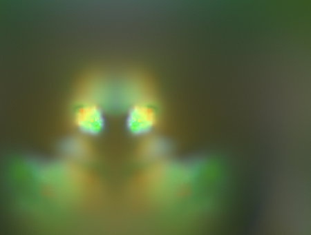 Imaginatory fractal abstract background Imageの写真素材