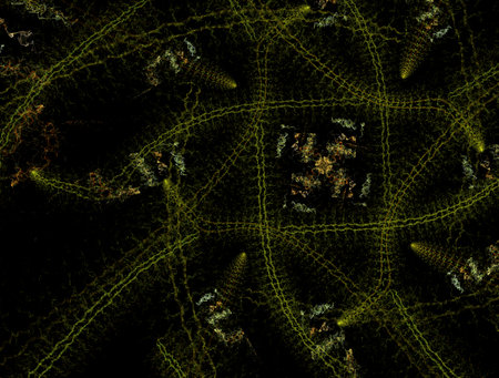 Imaginatory fractal abstract background Imageの写真素材