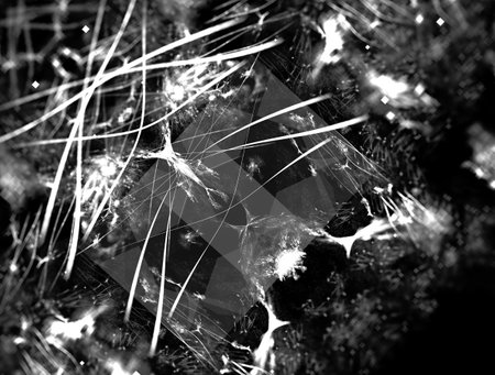 Imaginatory fractal abstract background Imageの写真素材