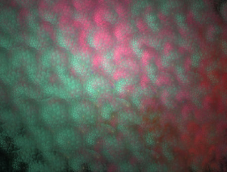 Imaginatory fractal abstract background Image