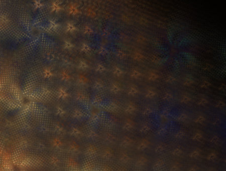 Imaginatory fractal abstract background Imageの写真素材