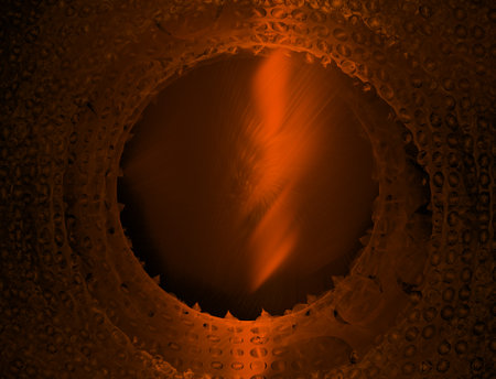 Imaginatory fractal abstract background Image