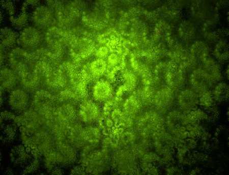 Imaginatory fractal abstract background Image