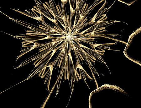 Imaginatory fractal abstract background Image