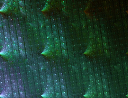 Imaginatory fractal abstract background Imageの写真素材