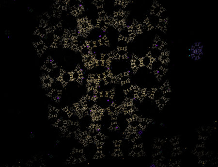 Imaginatory fractal abstract background Imageの写真素材