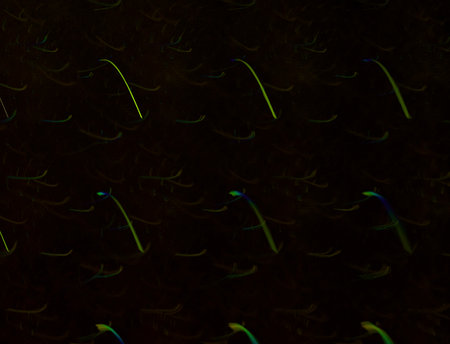 Imaginatory fractal abstract background Image
