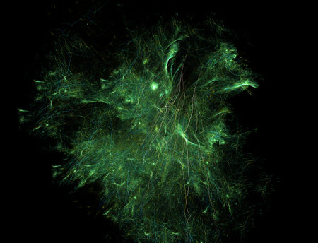 Imaginatory fractal abstract background Imageの写真素材