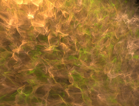 Imaginatory fractal abstract background Image