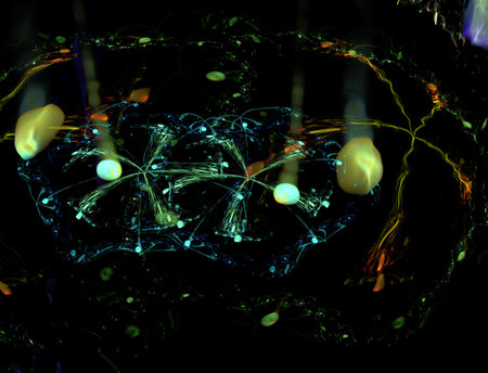 Imaginatory fractal abstract background Imageの写真素材