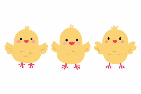 Set of simple flat vector illustrations. Three cute yellow chickens on a white backgroundのイラスト素材