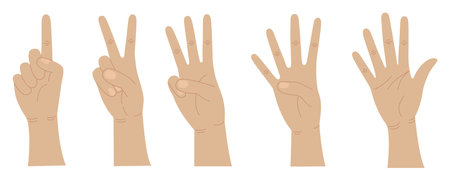 Hands count from one to five. Gestures of hands. Counting fingers. Vector illustration.のイラスト素材