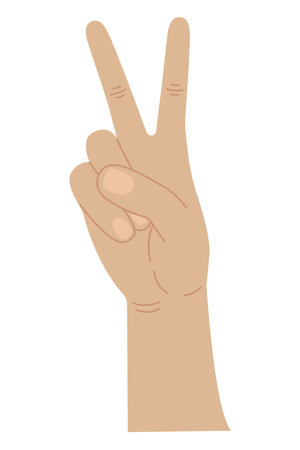 Hand gestures. Counting fingers. Two fingers. Vector illustrationのイラスト素材