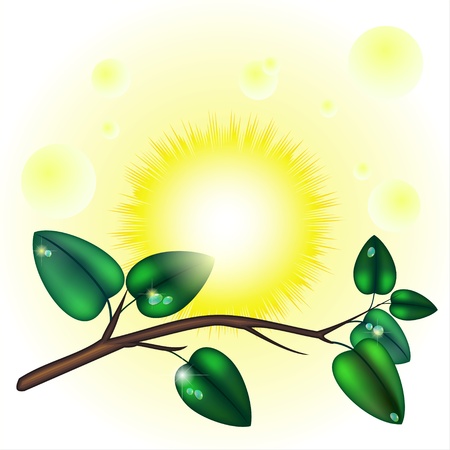 Branch of tree with leaves over sunriseのイラスト素材