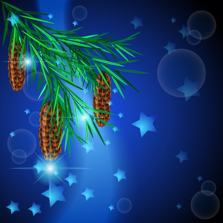 Fir twig with cones against dark blue background with starsのイラスト素材