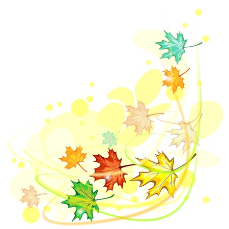Colorful autumn maple leaves gone with windのイラスト素材