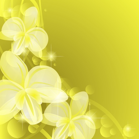 Yellow and green background with transparent orchidsのイラスト素材