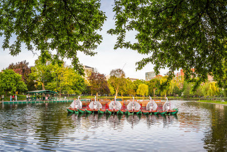 The Boston Public Garden in Massachusetts, USA.のeditorial素材