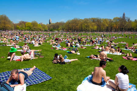 The iconic Central Park in the summer.のeditorial素材
