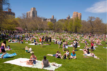 The iconic Central Park in the summer.のeditorial素材
