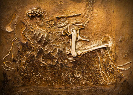 Close-up shot of some fossil of prehistoric creatures.の写真素材