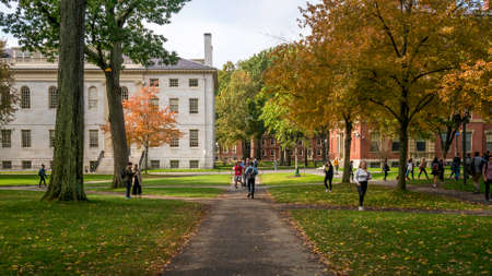 The historic architecture of Harvard University in Cambridge, Massachusetts, USA.のeditorial素材