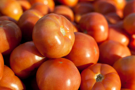 Fresh tomatoes in a farmer's market.の写真素材