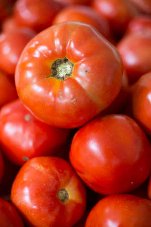 Fresh tomatoes in a farmer's market.の写真素材