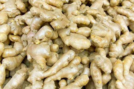 Pile of Fresh Ginger roots.