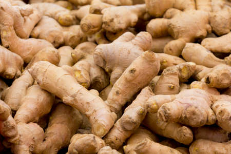 Pile of fresh ginger roots.