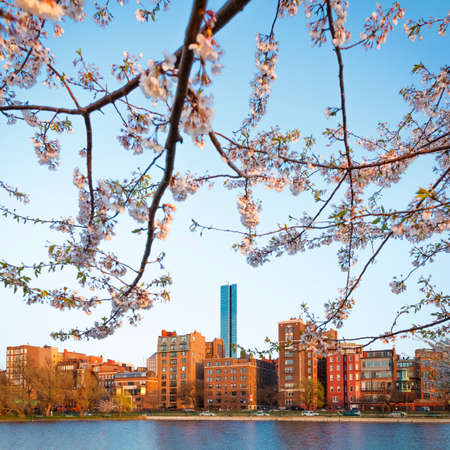 View of Boston in Massachusetts, USA in the spring time.の写真素材