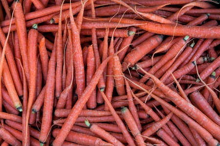 A pile of fresh carrots in a farmer's market.の写真素材