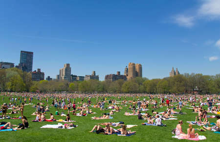 The iconic Central Park in Manhattan, New York, USA in the summer.のeditorial素材