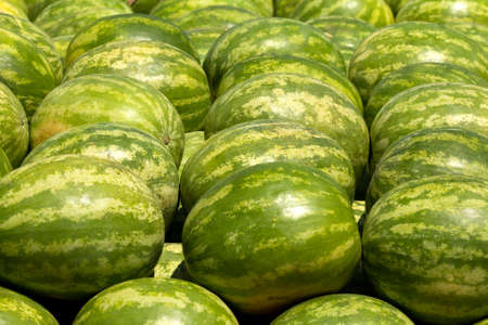 Lots of watermelons in a farmer's market.