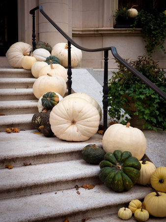 Halloween decoration in Boston, MA, USA.の写真素材