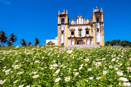 The Baroque architecture of the Igreja do Carmo church in the Brazilian city of Olinda in Pernambuco state, Brazil on the top of a hill with tons of flower along the way up.の写真素材