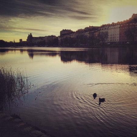 Kungsholmen from Karlberg. Stockholm Sweden.の素材