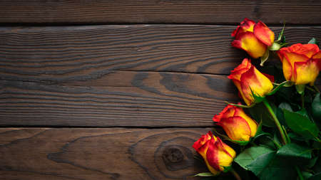 Red yellow roses on wooden background. Valentines day, Mothers Day, Happy Birthday, Wedding, Womens Day concept