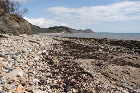 Charmouth beach Dorset England.の写真素材