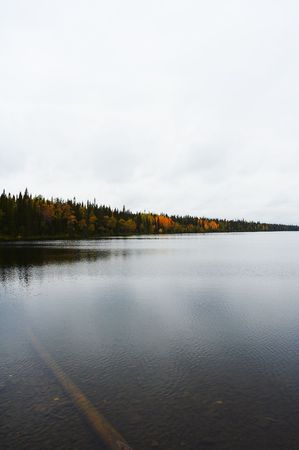 Autumn landscape from Lapland, Finlandの写真素材