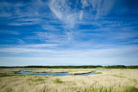 The wetland marshes from eastern of Finland