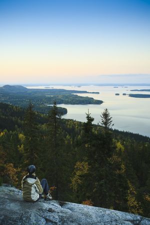 Woman looking into distance in Finnish national parkの写真素材